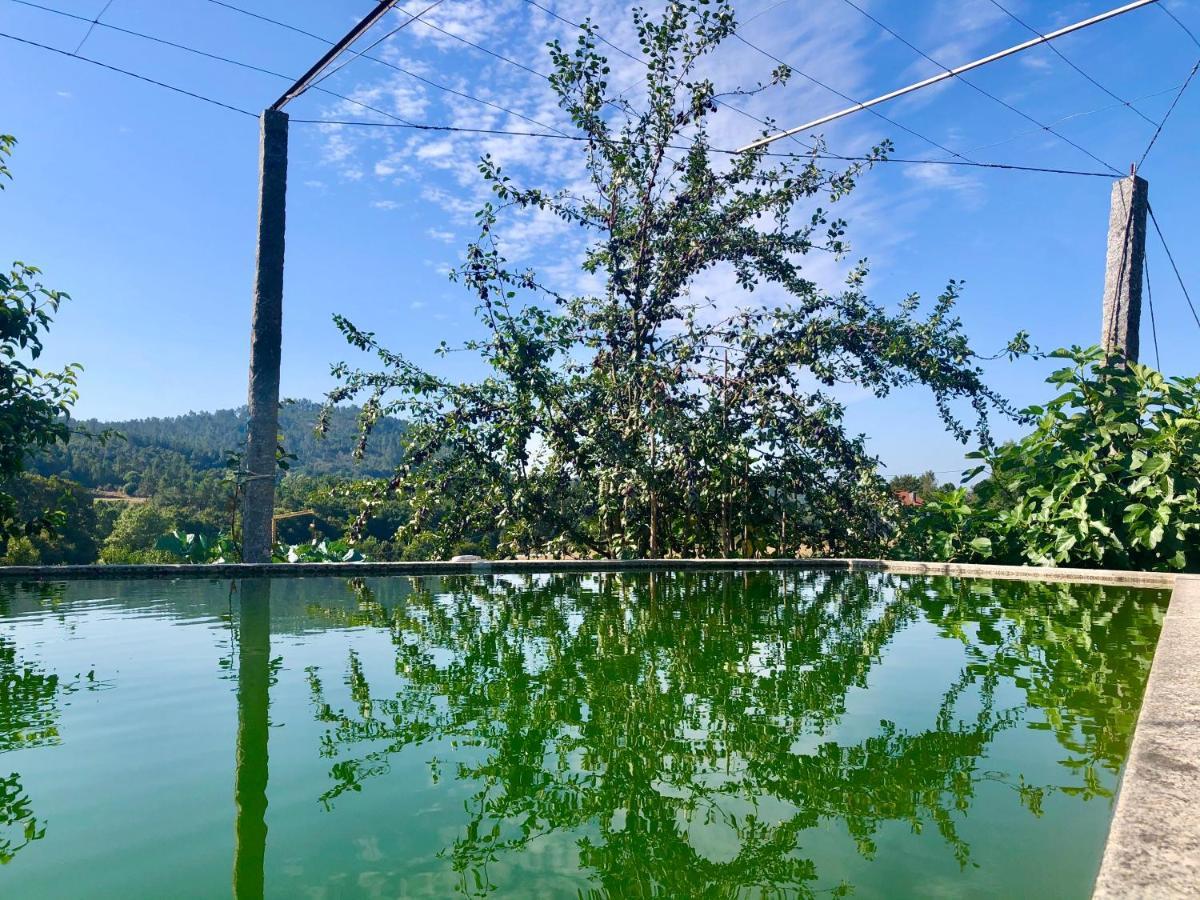 Casa Da Quinta Da Prelada Simao Villa Celorico De Basto Ngoại thất bức ảnh